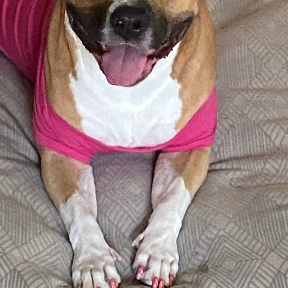 Daisy🌼 - Picture 4 of 4